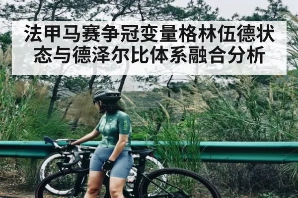法甲马赛争冠变量格林伍德状态与德泽尔比体系融合分析