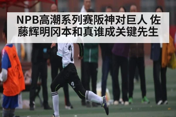 NPB高潮系列赛阪神对巨人 佐藤辉明冈本和真谁成关键先生
