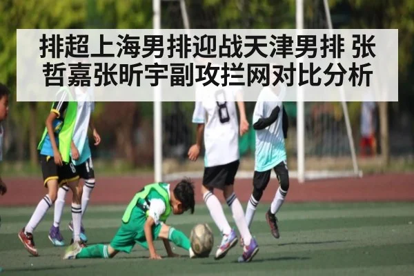 排超上海男排迎战天津男排 张哲嘉张昕宇副攻拦网对比分析